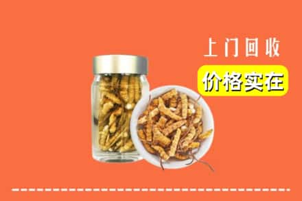 谷城县回收散虫草