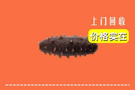 谷城县回收海参