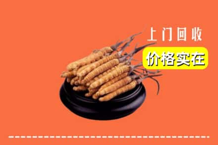 谷城县回收冬虫夏草